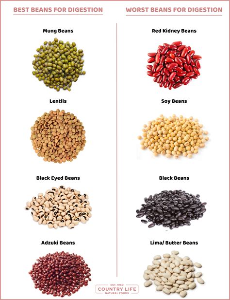 are white beans less gassy